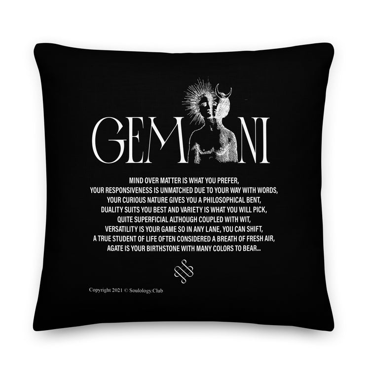 Gemini Poetry Lounge Pillow