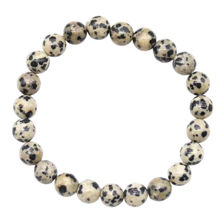 Dalmatian Jasper Crystal Bracelet - Joy | Protection | Emotional Balance